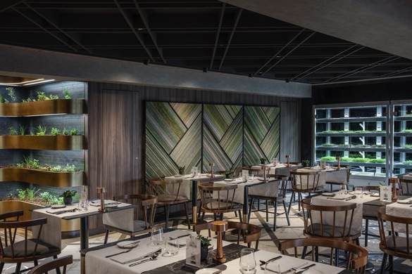 MSC Cruises MSC World Europa Chefs Garden Kitchen - Ivan Sarfatti and MSC Rights 3.jpg